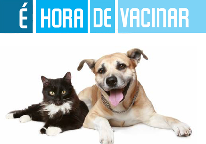 CCZ divulga cronograma de vacinação de cães e gatos. Imagem divulgação.