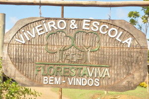 Viveiro-e-Escola-da-Floresta-Viva-Serra-Grande
